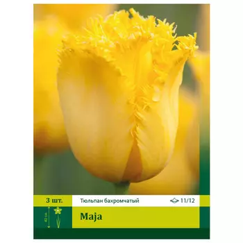 луковицы Тюльпан Майя ПЕТРОФЛОРА 11/12 3шт