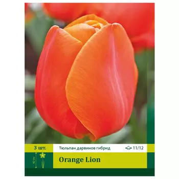 луковицы Тюльпан Оранж Лион ПЕТРОФЛОРА 11/12 3шт