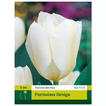 луковицы Тюльпан Пуриссима Дизайн ПЕТРОФЛОРА 11/12 3шт