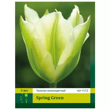 луковицы Тюльпан Спринг Грин ПЕТРОФЛОРА 11/12 3шт
