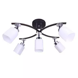 люстра CAIMAN Satoi 5x60Вт E14 стекло,металл хром