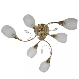 люстра потолочная CAIMAN Napoli 6x60Вт E14 стекло,металл