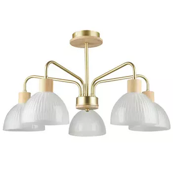 люстра потолочная De City Дэла 5х60Вт E27 220В стекло