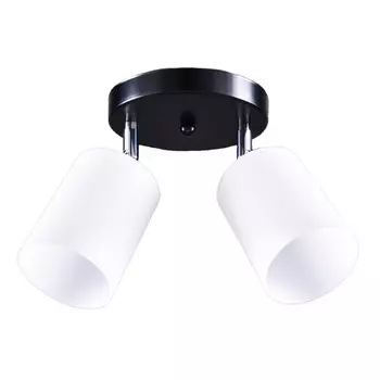 люстра потолочная РОССВЕТ Ивон 2х20Вт E27 металл черный