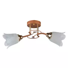 люстра потолочная РОССВЕТ Полька 2х60Вт Е27 металл дерево/белый