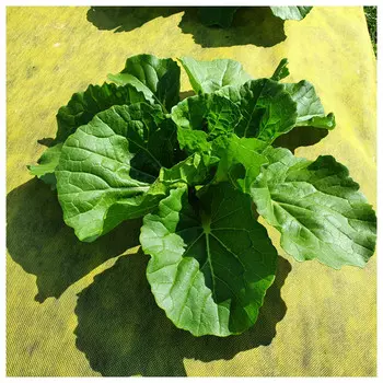 материал желто-черный от вредителей и сорняков 80г/м2 1,6м с УФ