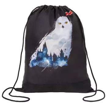 мешок для обуви ПИФАГОР White Owl 42х34см черный полиэстер