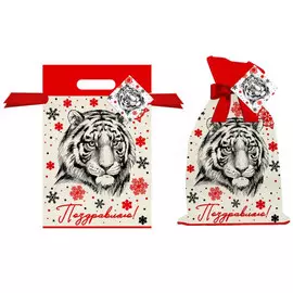 мешок для подарков Поздравляю 20х30см