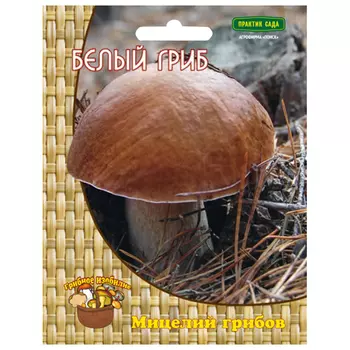мицелий грибов Белый гриб 60мл