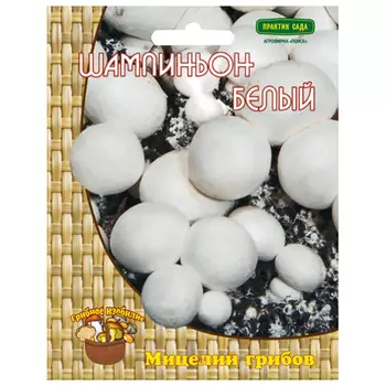 мицелий грибов Шампиньон белый 60мл