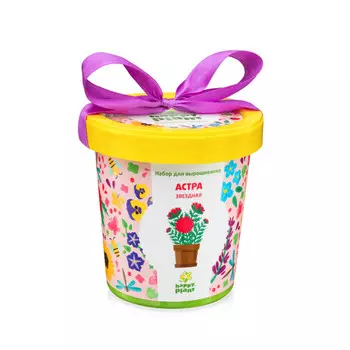 набор для выращивания Астра звездная