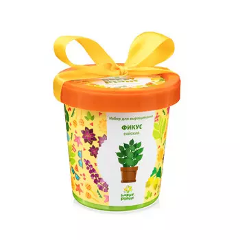 набор для выращивания Фикус райский