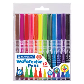 набор фломастеров BRAUBERG Premium 12цв вентилируемый колпачок