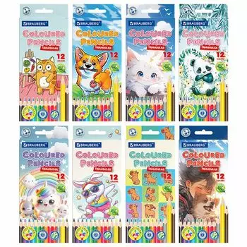 набор карандашей цветные BRAUBERG 12шт 3+ лет пластик