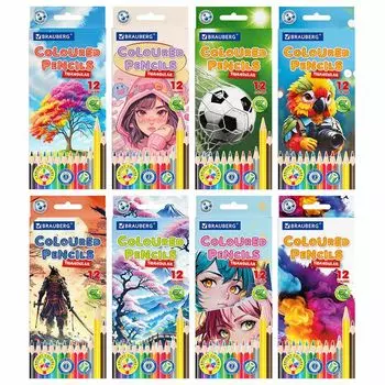 набор карандашей цветные BRAUBERG 12шт 7+ лет пластик