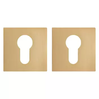 накладка под цилиндр AJAX ET JS SSG квадрат 6мм сатинированное золото