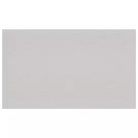 обои АРТЕКС компакт-винил на флизелиновой основе 10,05х1,06м, арт.10284-04