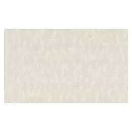 обои АРТЕКС компакт-винил на флизелиновой основе 10х1,06м, арт.10333-02