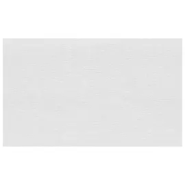 обои АРТЕКС виниловые на флизелиновой основе 10,05х1,06м, арт.10442-01