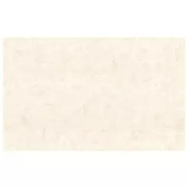 обои АРТЕКС виниловые на флизелиновой основе 10,05х1,06м, арт.10515-03