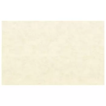 обои АРТЕКС виниловые на флизелиновой основе 10,05х1,06м, арт.10518-02