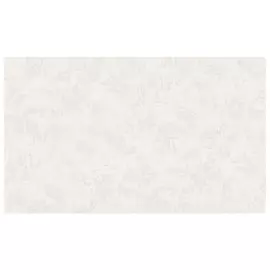 обои АРТЕКС виниловые на флизелиновой основе 10,05х1,06м, арт.10535-02