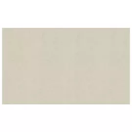 обои АРТЕКС виниловые на флизелиновой основе 10,05х1,06м, арт.10564-04