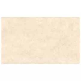 обои АРТЕКС виниловые на флизелиновой основе 10,05х1,06м, арт.10580-03