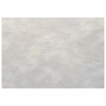 обои АРТЕКС виниловые на флизелиновой основе 10,05х1,06м, арт.10627-02