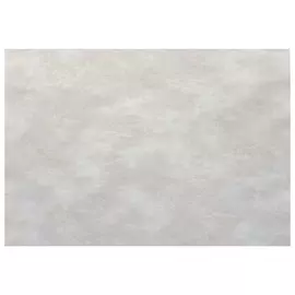 обои АРТЕКС виниловые на флизелиновой основе 10,05х1,06м, арт.10627-02