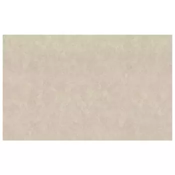 обои АРТЕКС виниловые на флизелиновой основе 10,05х1,06м, арт.10837-06