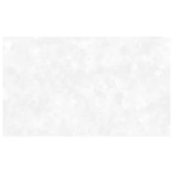 обои АРТЕКС виниловые на флизелиновой основе 10,05х1,06м, арт.10953-01