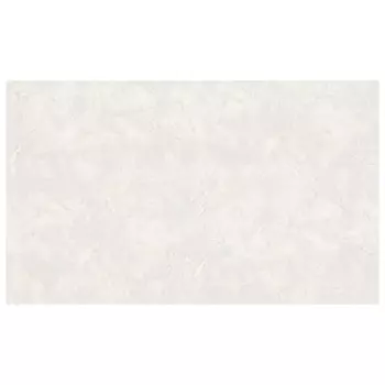 обои АРТЕКС виниловые на флизелиновой основе 10,05х1,06м, арт.11022-03