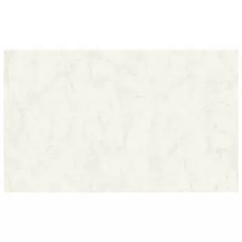 обои АРТЕКС виниловые на флизелиновой основе 10,05х1,06м, арт.10258-02