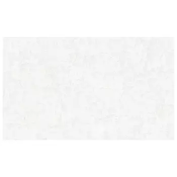 обои АРТЕКС виниловые на флизелиновой основе 10,05х1,06м, арт.10646-01