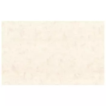 обои АРТЕКС виниловые на флизелиновой основе 10,05х1,06м, арт.10515-03