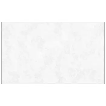 обои АРТЕКС виниловые на флизелиновой основе 10,05х1,06м, арт. 10836-07