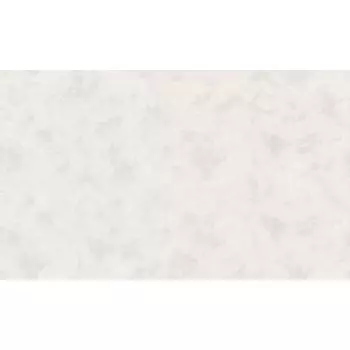 обои АРТЕКС виниловые на флизелиновой основе 10,05х1,06м, арт.11212-04