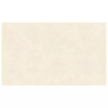 обои Артекс виниловые на флизелиновой основе 10,05х1,06м, арт. 10943-02