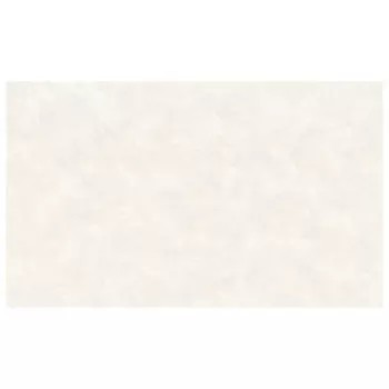 обои Артекс виниловые на флизелиновой основе 10,05х1,06м, арт. 10933-02