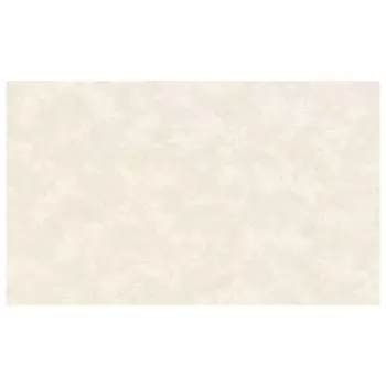 обои Артекс виниловые на флизелиновой основе 10,05х1,06м, арт. 10933-05