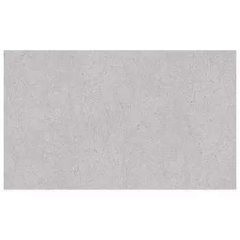 обои AS CREATION виниловые на флизелиновой основе 10,05х1,06м, арт.39219-2