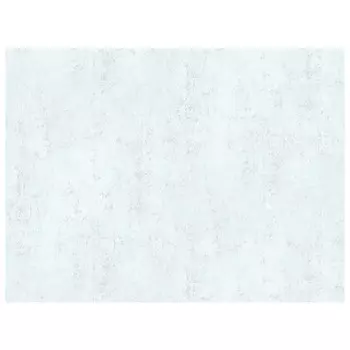 обои AS CREATION виниловые на флизелиновой основе 10,05х1,06м, арт.38868-1