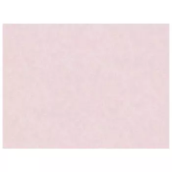 обои AS CREATION виниловые на флизелиновой основе 10,05х1,06м, арт.38501-6