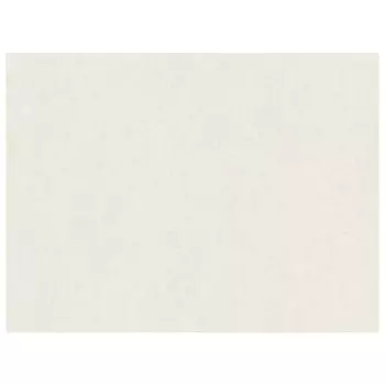 обои AS CREATION виниловые на флизелиновой основе 10,05х1,06м, арт.38330-2