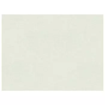 обои AS CREATION виниловые на флизелиновой основе 10,05х1,06м, арт.38851-5