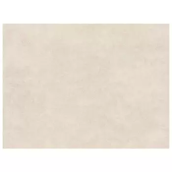 обои АСПЕКТ Deluxe виниловые на флизелиновой основе 10,05х1,06м, арт.70559-22