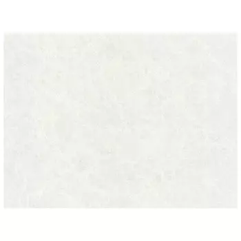 обои АСПЕКТ Deluxe виниловые на флизелиновой основе 10,05х1,06м, арт.70557-14