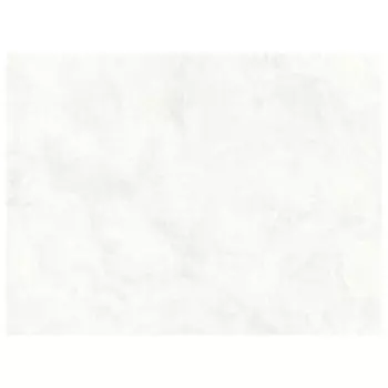 обои АСПЕКТ Deluxe виниловые на флизелиновой основе 10,05х1,06м, арт.70513-11