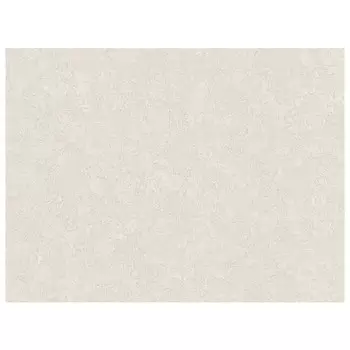 обои АСПЕКТ Deluxe виниловые на флизелиновой основе 10,05х1,06м, арт.70538-23